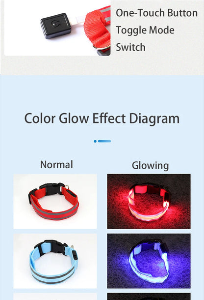 Reflective Night Safety Dog Collar