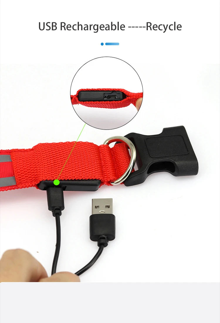 Reflective Night Safety Dog Collar