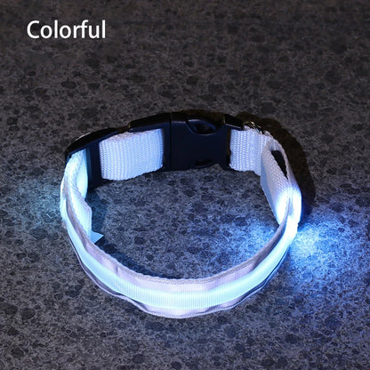 Reflective Night Safety Dog Collar
