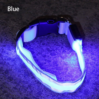 Reflective Night Safety Dog Collar
