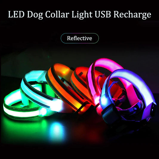 Reflective Night Safety Dog Collar