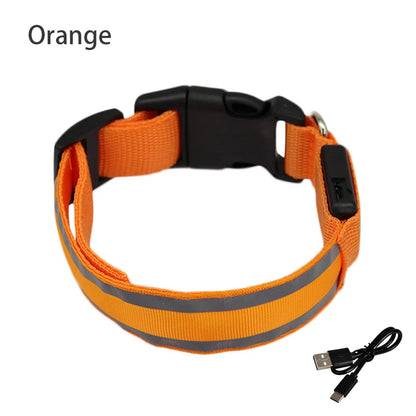 Reflective Night Safety Dog Collar