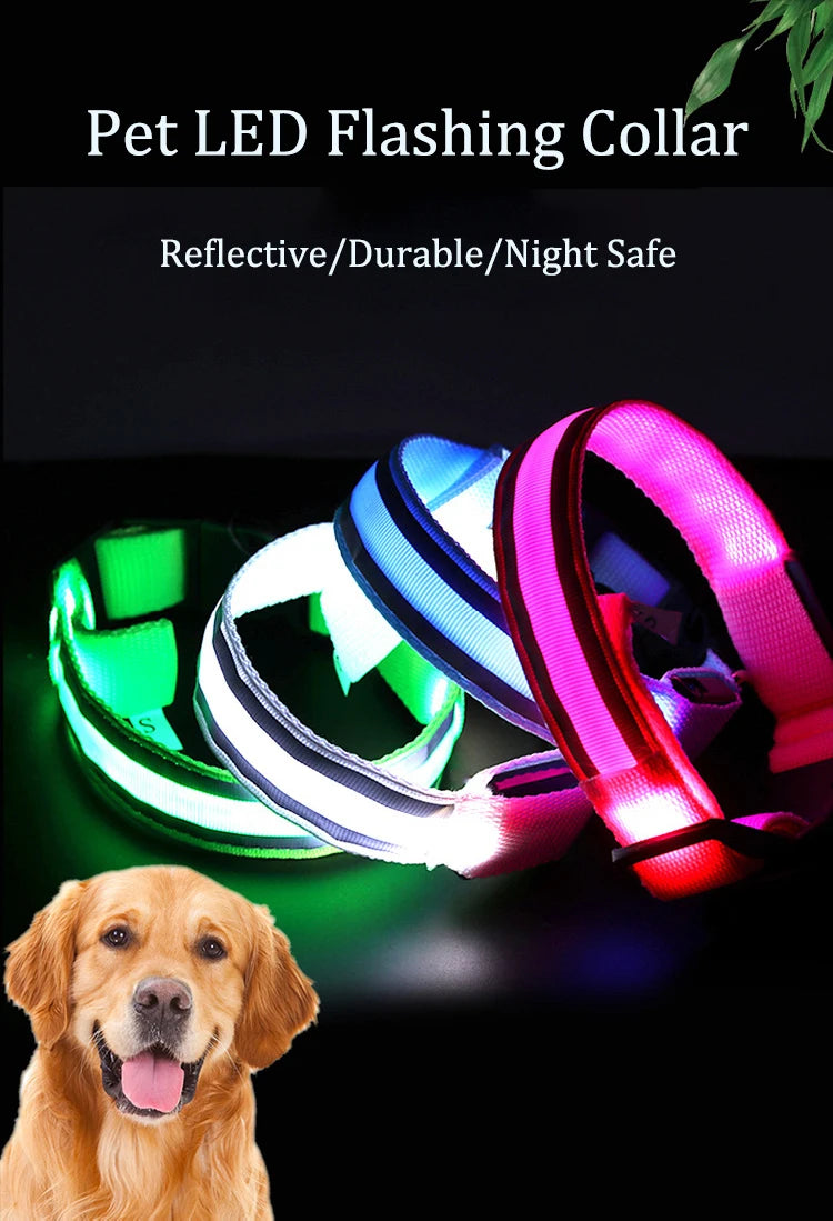 Reflective Night Safety Dog Collar