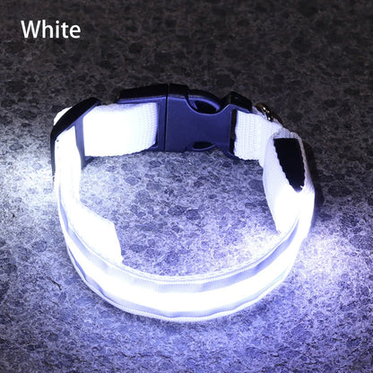 Reflective Night Safety Dog Collar