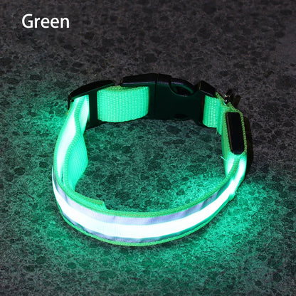 Reflective Night Safety Dog Collar