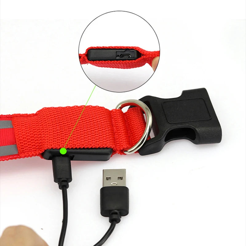 Reflective Night Safety Dog Collar