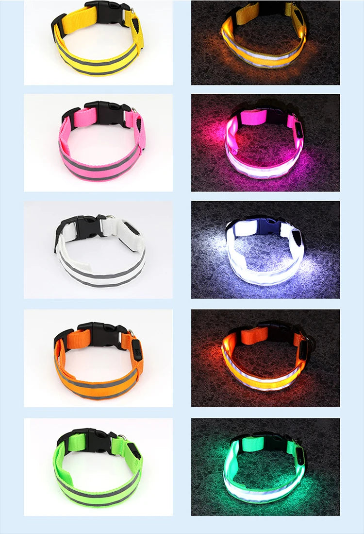Reflective Night Safety Dog Collar