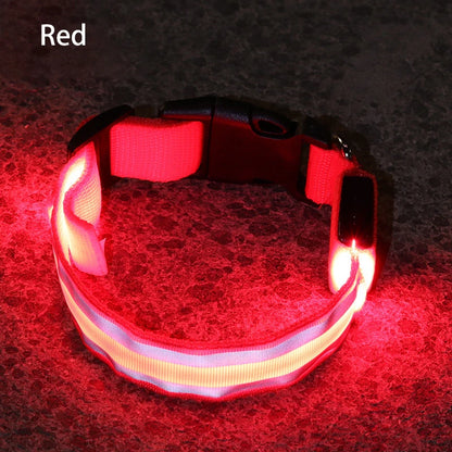 Reflective Night Safety Dog Collar